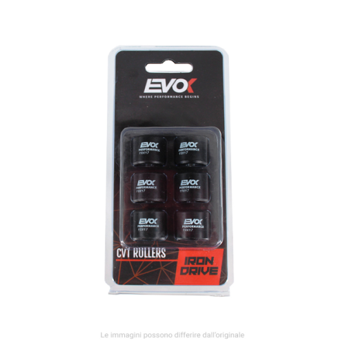 100480078 KIT RULLI EVOK IRON DRIVE 19X17MM 12GR | RMS