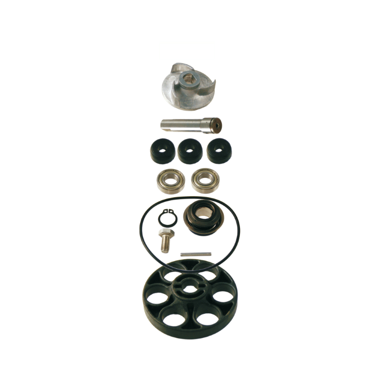 100110160 KIT REVISIONE POMPA ACQUA RMS APRILIA SR DITECH 50CC | RMS