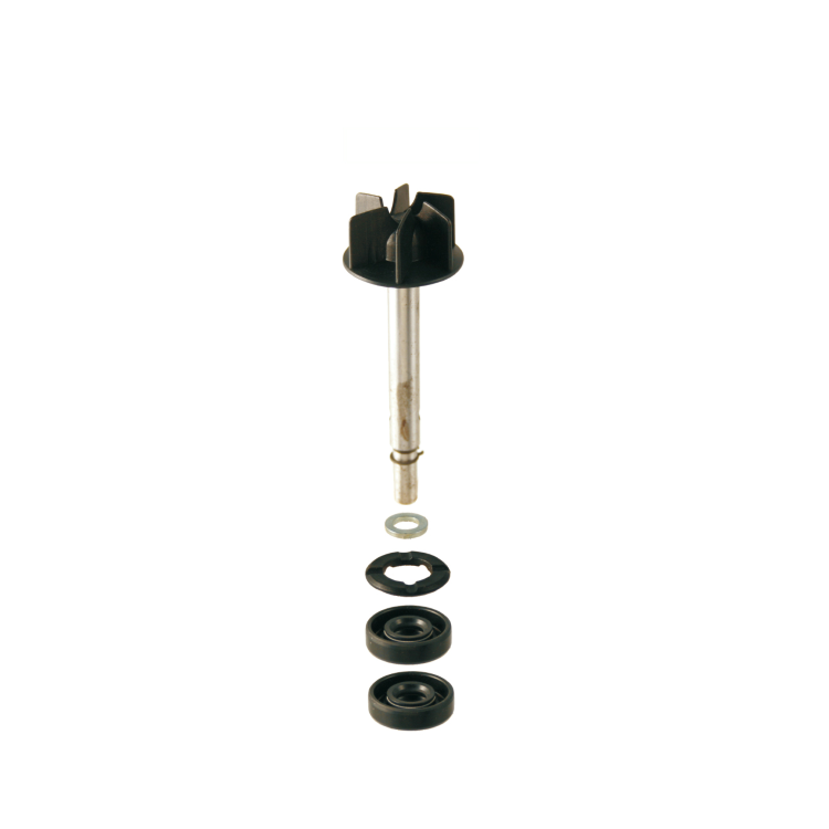 100110170 KIT REVISIONE POMPA ACQUA RMS APRILIA SCARABEO LEONARDO 125- | RMS