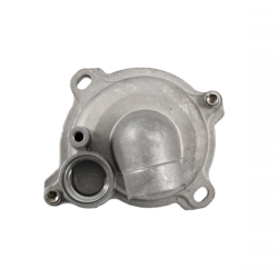 100110650 POMPA ACQUA COMPLETA RMS T-MAX 530CC | RMS