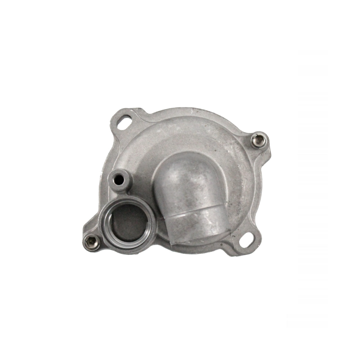100110650 POMPA ACQUA COMPLETA RMS T-MAX 530CC | RMS