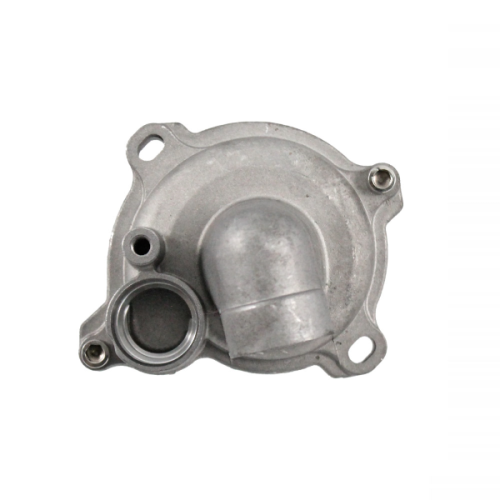 100110650 POMPA ACQUA COMPLETA RMS T-MAX 530CC | RMS