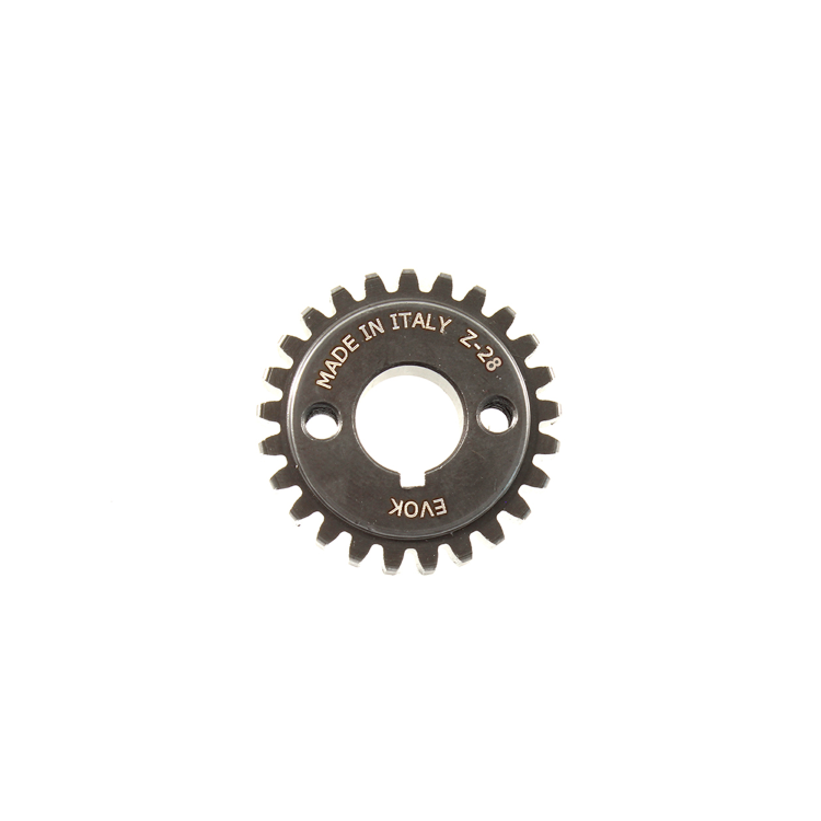 100240163 PIGNONE Z 28 X 69 EVOK PIAGGIO VESPA | RMS