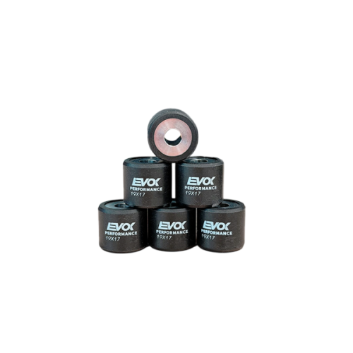 100480076 KIT RULLI EVOK IRON DRIVE 19X17MM 10GR | RMS