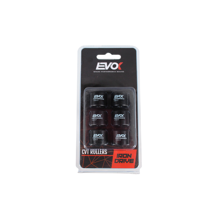 100480076 KIT RULLI EVOK IRON DRIVE 19X17MM 10GR | RMS