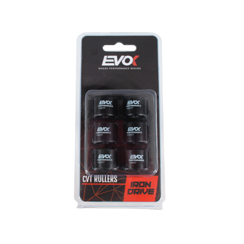 100480076 KIT RULLI EVOK IRON DRIVE 19X17MM 10GR | RMS