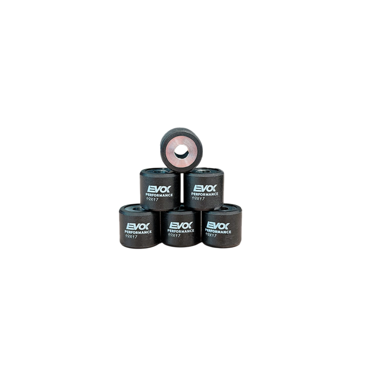 100480074 KIT RULLI EVOK IRON DRIVE 19X17MM 8.5GR | RMS