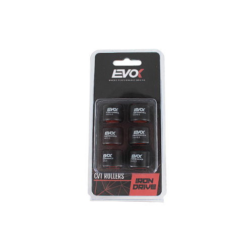 100480064 KIT RULLI EVOK IRON DRIVE 19X15.5MM 7GR | RMS