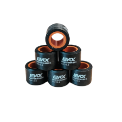 100480063 KIT RULLI EVOK IRON DRIVE 19X15.5MM 6.5GR | RMS