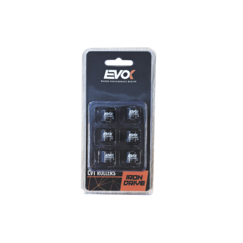 100480008 KIT RULLI EVOK IRON DRIVE 15X12MM 5GR | RMS