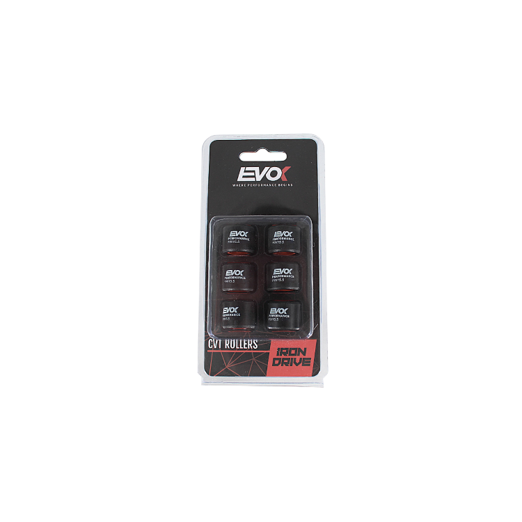 100480060 KIT RULLI EVOK IRON DRIVE 19X15.5MM 5.5GR | RMS