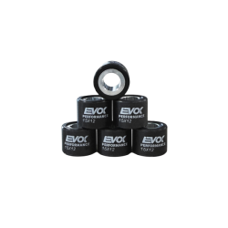 100480011 KIT RULLI EVOK IRON DRIVE 15X12MM 6.5GR | RMS