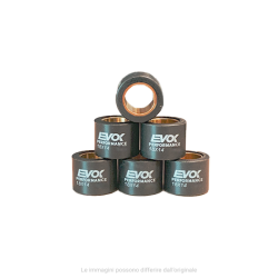 100480046 KIT RULLI EVOK IRON DRIVE 18X14MM 12GR | RMS