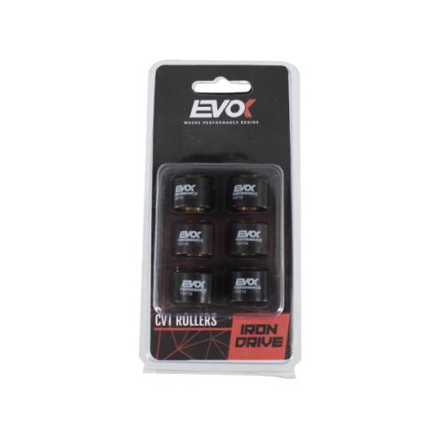 100480045 KIT RULLI EVOK IRON DRIVE 18X14MM 11GR | RMS