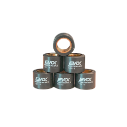 100480047 KIT RULLI EVOK IRON DRIVE 18X14MM 13GR | RMS