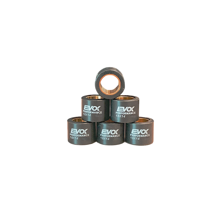100480047 KIT RULLI EVOK IRON DRIVE 18X14MM 13GR | RMS