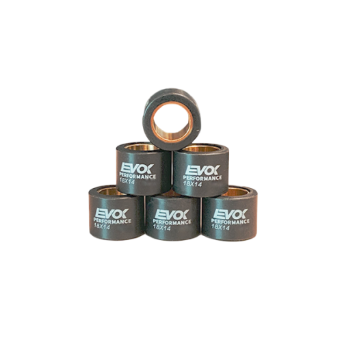 100480047 KIT RULLI EVOK IRON DRIVE 18X14MM 13GR | RMS
