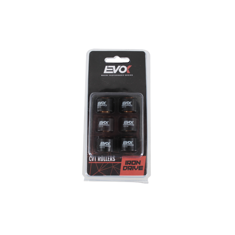 100480047 KIT RULLI EVOK IRON DRIVE 18X14MM 13GR | RMS