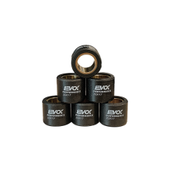 100480110 KIT RULLI EVOK IRON DRIVE 20X17MM 14GR | RMS