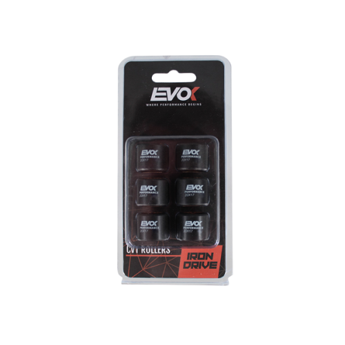 100480110 KIT RULLI EVOK IRON DRIVE 20X17MM 14GR | RMS