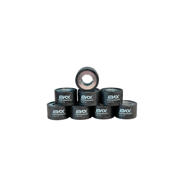 100480142 KIT RULLI EVOK IRON DRIVE 25X15MM 15GR | RMS