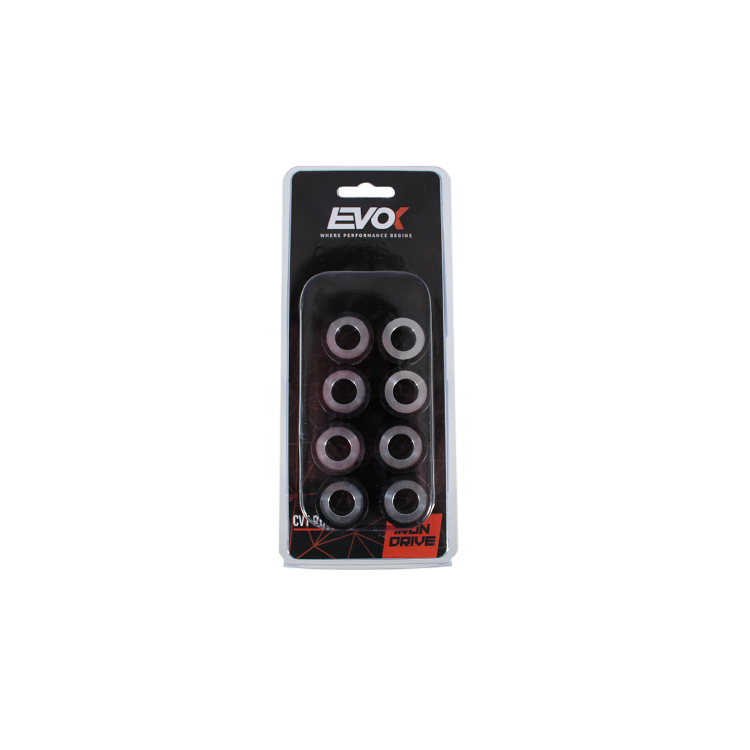 100480142 KIT RULLI EVOK IRON DRIVE 25X15MM 15GR | RMS