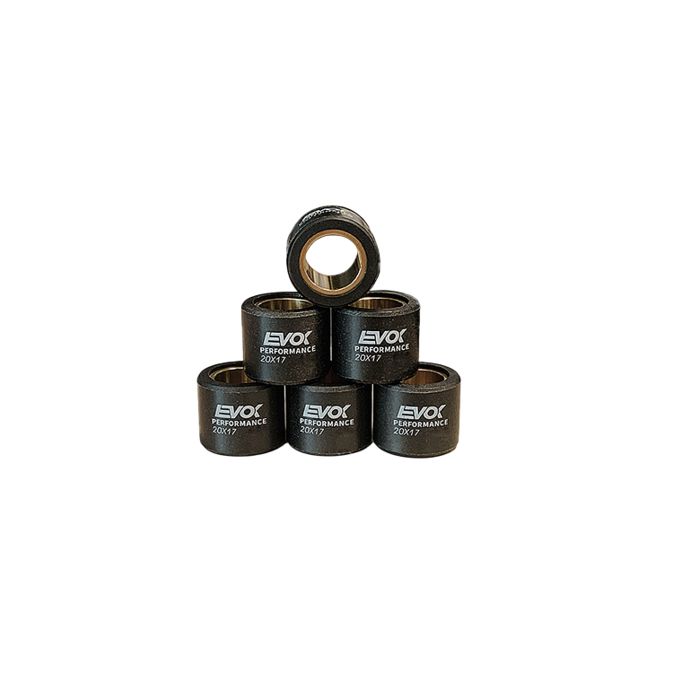 100480111 KIT RULLI EVOK IRON DRIVE 20X17MM 15GR | RMS