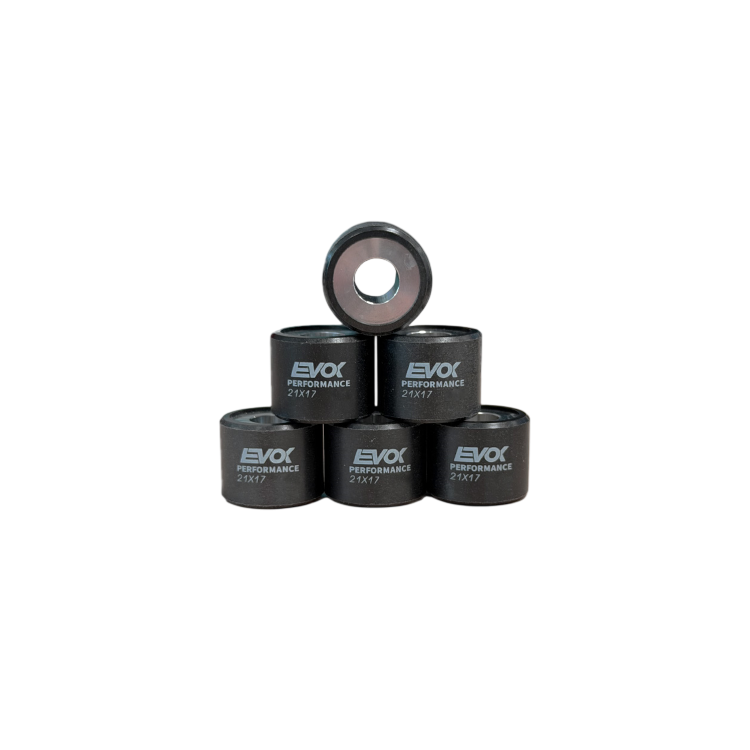 100480117 KIT RULLI EVOK IRON DRIVE 21X17MM 12GR | RMS