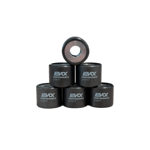 100480117 KIT RULLI EVOK IRON DRIVE 21X17MM 12GR | RMS