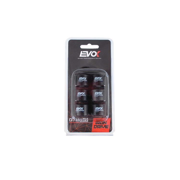 100480117 KIT RULLI EVOK IRON DRIVE 21X17MM 12GR | RMS
