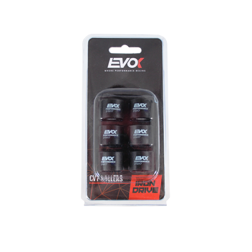 100480117 KIT RULLI EVOK IRON DRIVE 21X17MM 12GR | RMS