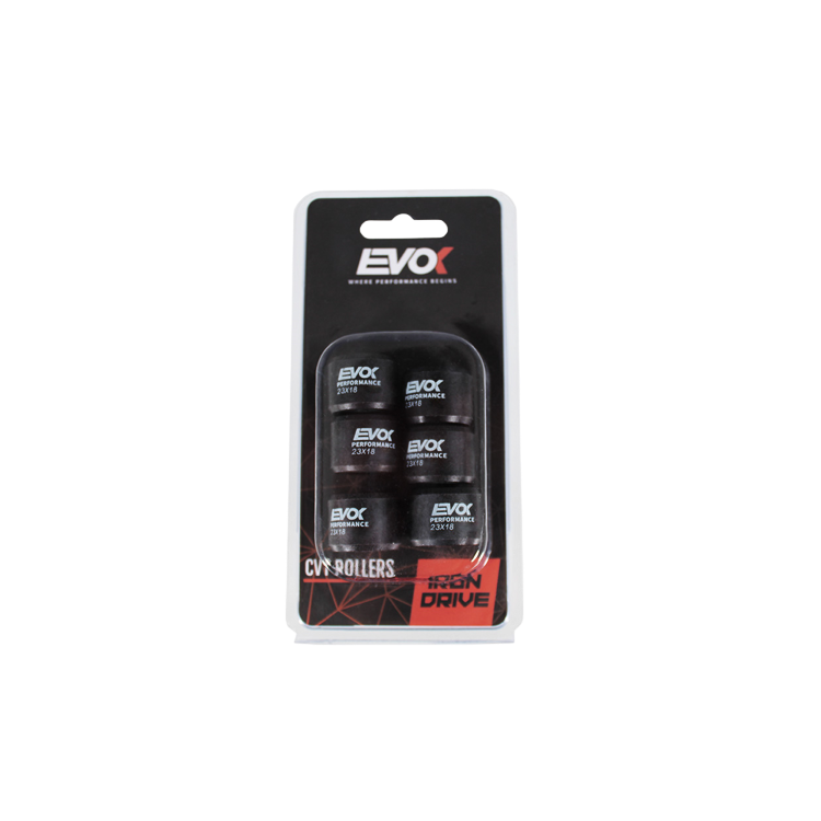 100480127 KIT RULLI EVOK IRON DRIVE 23X18MM 18GR | RMS