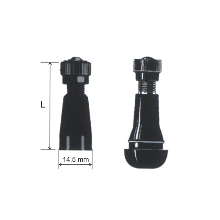 999999000 VALVOLA TUBELESS PAX DIRITTA | RMS