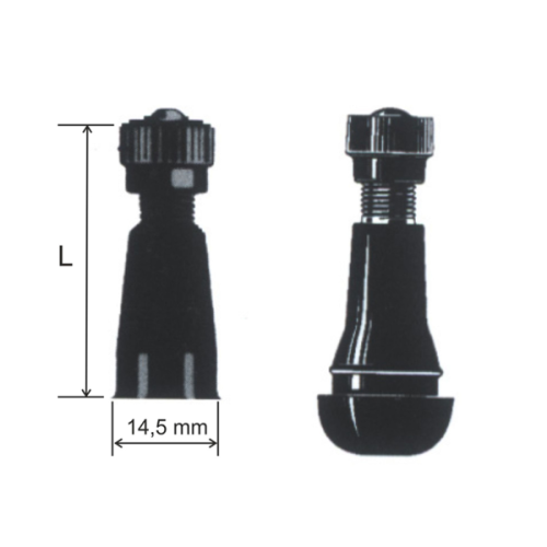 999999000 VALVOLA TUBELESS PAX DIRITTA | RMS