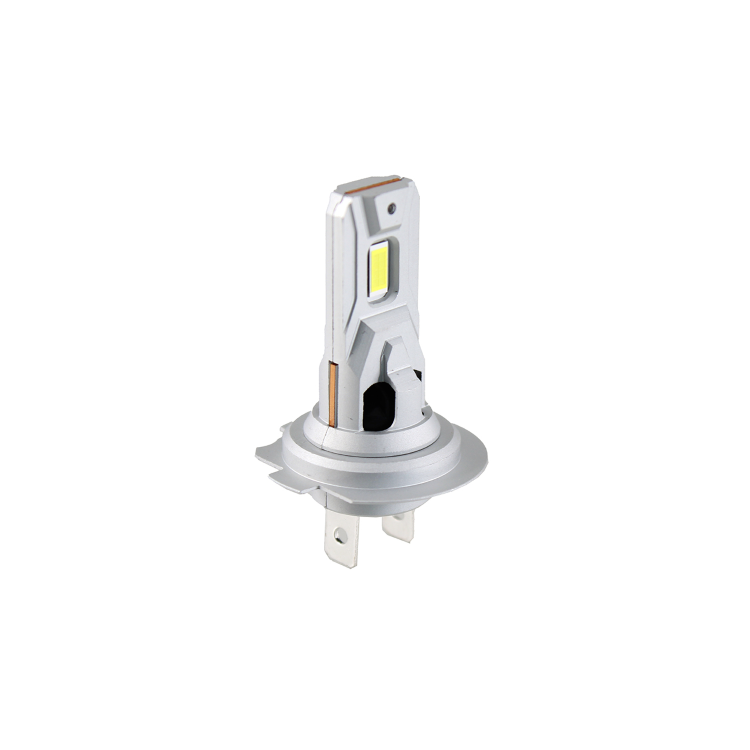 246510053 LAMPADINA RMS H4 12V LED | RMS