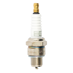 246210130 CANDELA CHAMPION L82C | RMS