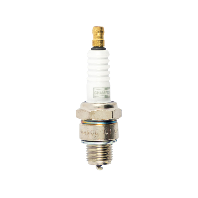 246210130 CANDELA CHAMPION L82C | RMS