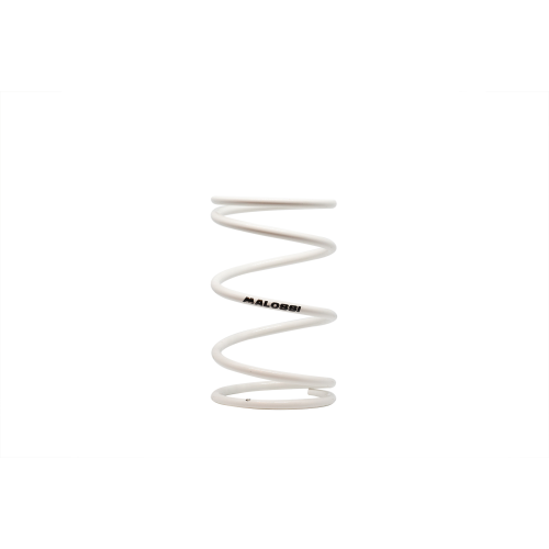29 9976.R0 MOLLA CONTRASTO VARIATORE ROSSA DIAMETRO ESTERNO 65,4X100MM DIAMETRO FILO 5,2M | MALOSSI