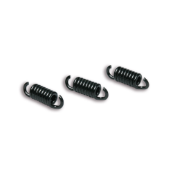 2912049 3 MOLLE PER MAXI DELTA CLUTCH MHR | MALOSSI