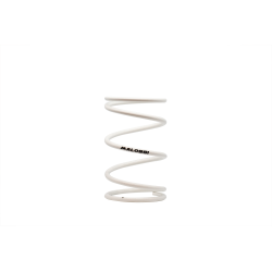 2913316.W0 MOLLA CONTRASTO VARIATORE BIANCA DIAMETRO ESTERNO 67,4X107MM DIAMETRO FILO 5,2 | MALOSSI