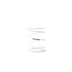 2915315.W0 MOLLA CONTRASTO VARIATORE BIANCA DIAMETRO ESTERNO 73X96MM DIAMETRO FILO 6MM 14 | MALOSSI