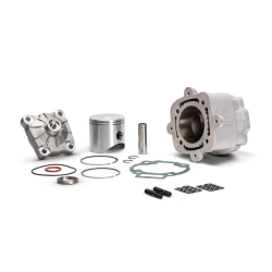 3120296 GRUPPO TERMICO DIAMETRO 65 IN ALLUMINIO RAFFREDDAMENTO ACQUA PER PIAGGIO E GILERA 12 | MALOSSI