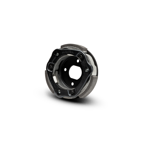 52 7880 DELTA CLUTCH FRIZIONE AUTOMATICA REGOLABILE | MALOSSI