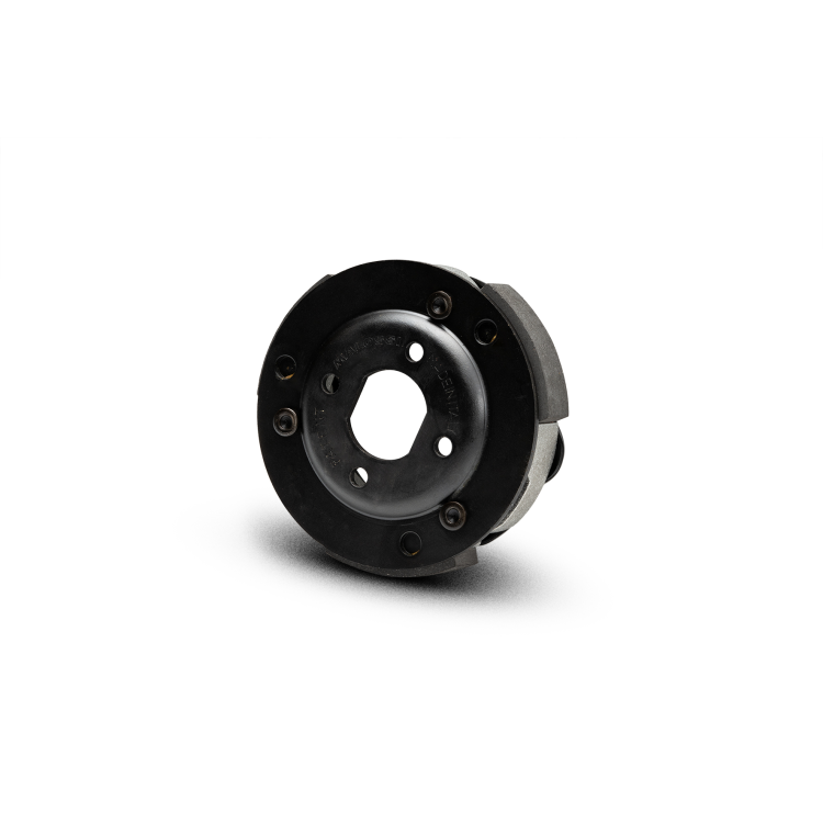 52 7880 DELTA CLUTCH FRIZIONE AUTOMATICA REGOLABILE | MALOSSI