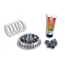 5116679 VARIATORE MULTIVAR 2000 | MALOSSI