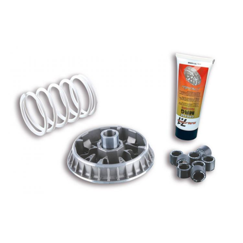 5116679 VARIATORE MULTIVAR 2000 | MALOSSI
